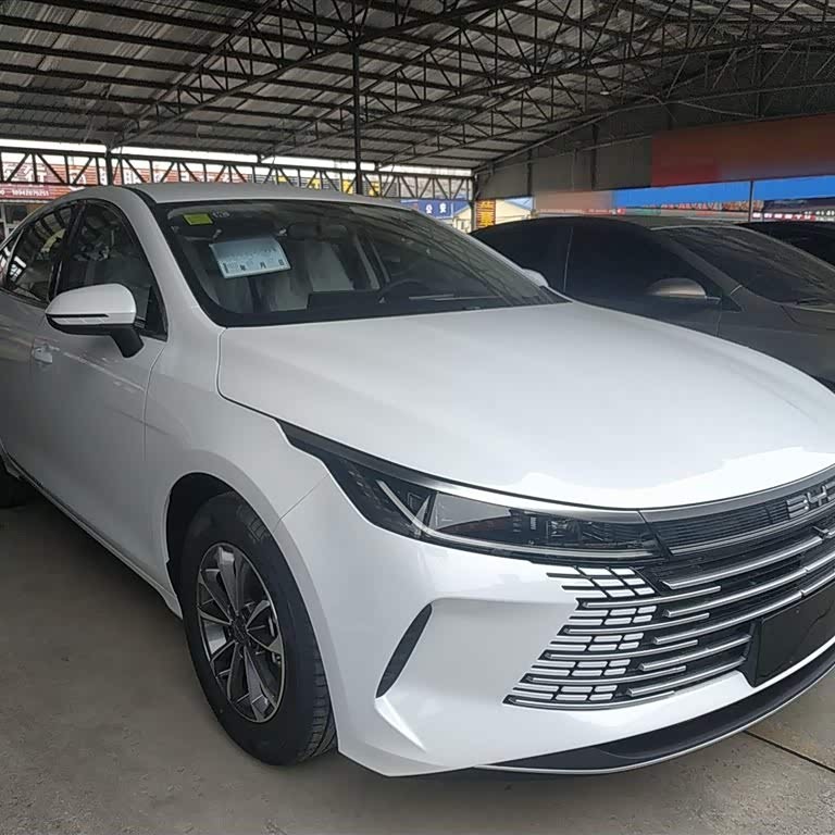 Destroyer 05 2024 Glory Edition DM-i 55KM Luxury Model Destroyer 05 2024 Glory Edition DM-i 55KM Luxury Model