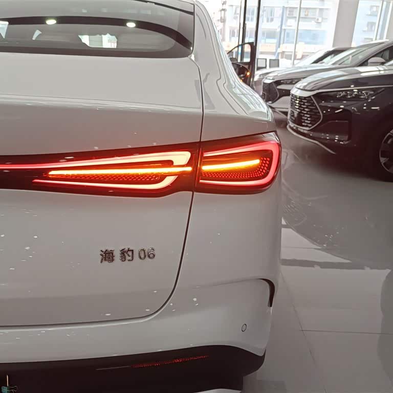 Haibao 06 New Energy 2024 DM-i 120KM Flagship Model Haibao 06 New Energy 2024 DM-i 120KM Flagship Model