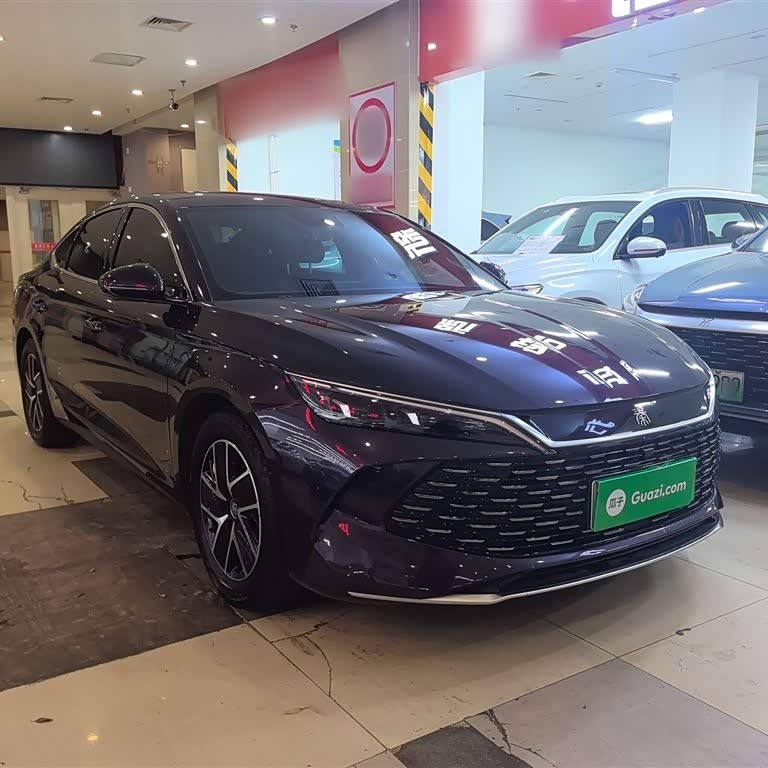 Qin L 2024 DM-i 80KM Beyond Edition Qin L 2024 DM-i 80KM Beyond Edition