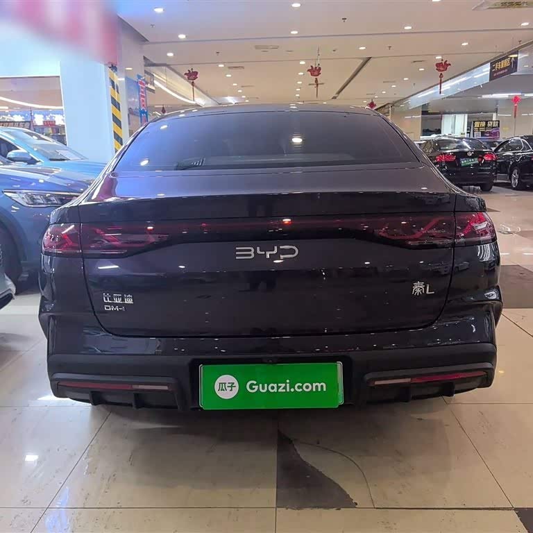 Qin L 2024 DM-i 80KM Beyond Edition Qin L 2024 DM-i 80KM Beyond Edition