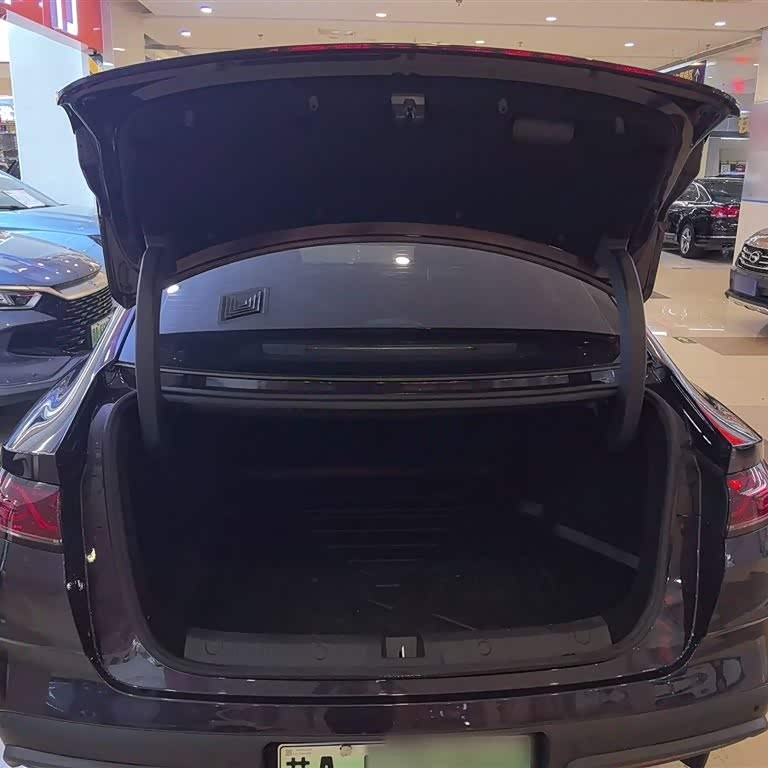 Qin L 2024 DM-i 80KM Beyond Edition Qin L 2024 DM-i 80KM Beyond Edition