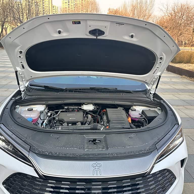 Song L DM-i 2024 model 112km surpassing model Song L DM-i 2024 model 112km surpassing model