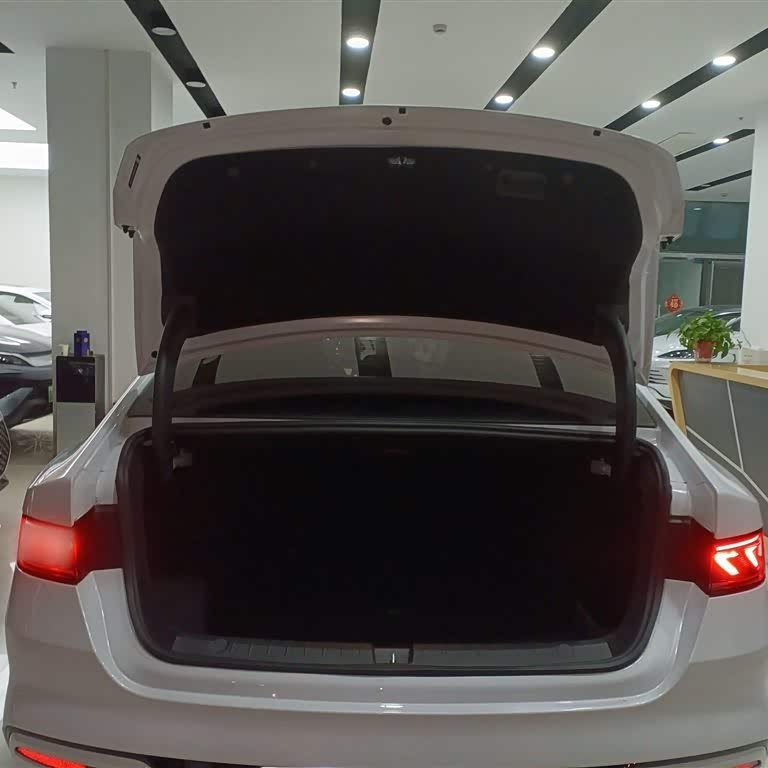Qin PLUS 2024 Honor Edition DM-i 120KM Beyond Edition Qin PLUS 2024 Honor Edition DM-i 120KM Beyond Edition