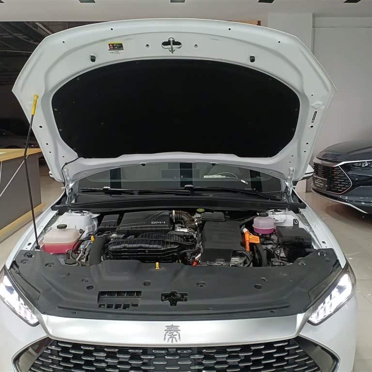 Qin PLUS 2024 Honor Edition DM-i 120KM Beyond Edition Qin PLUS 2024 Honor Edition DM-i 120KM Beyond Edition