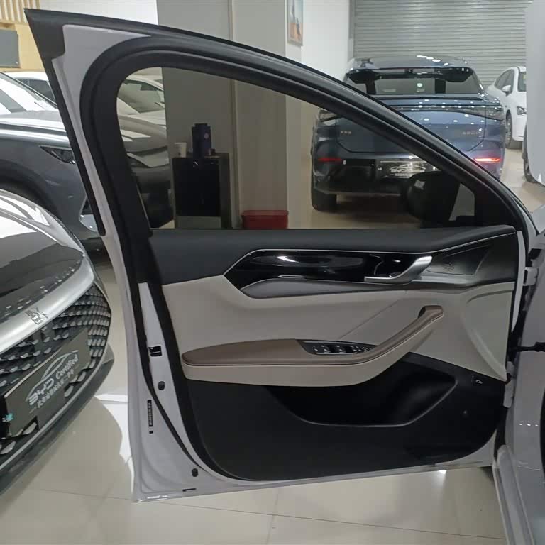 Qin PLUS 2024 Honor Edition DM-i 120KM Beyond Edition Qin PLUS 2024 Honor Edition DM-i 120KM Beyond Edition