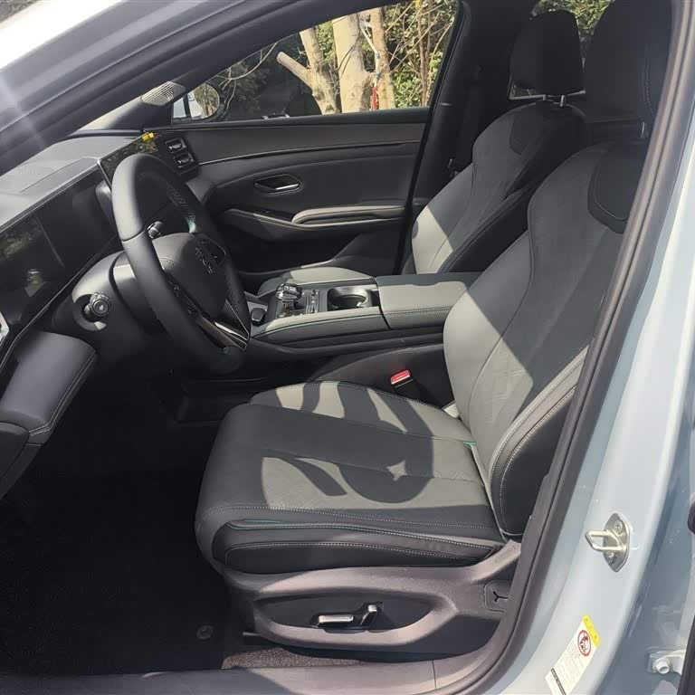 Qin L 2024 DM-i 120KM Excellence Edition Qin L 2024 DM-i 120KM Excellence Edition