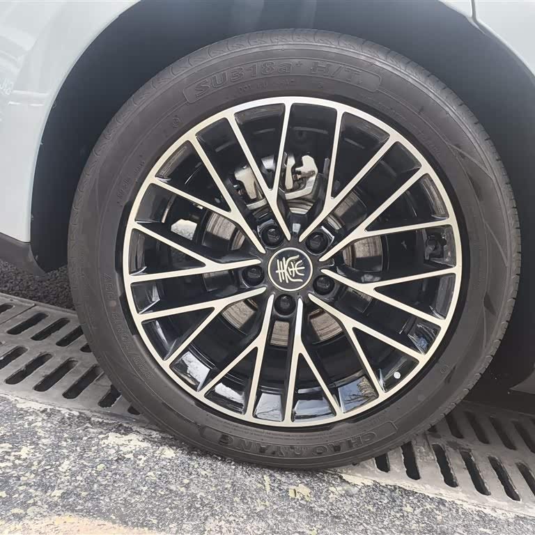 Qin L 2024 DM-i 120KM Excellence Edition Qin L 2024 DM-i 120KM Excellence Edition