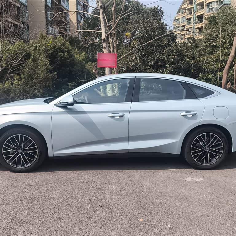 Qin L 2024 DM-i 120KM Excellence Edition Qin L 2024 DM-i 120KM Excellence Edition