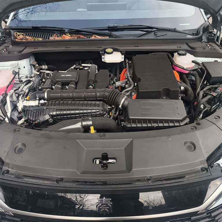 Qin L 2024 DM-i 120KM Excellence Edition Qin L 2024 DM-i 120KM Excellence Edition
