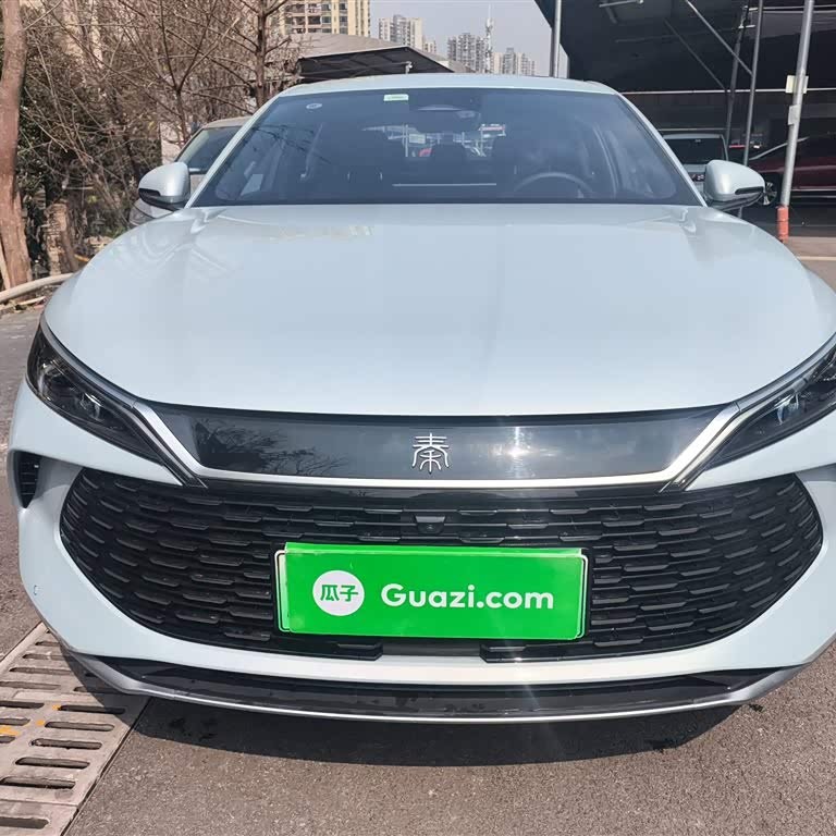 Qin L 2024 DM-i 120KM Excellence Edition Qin L 2024 DM-i 120KM Excellence Edition
