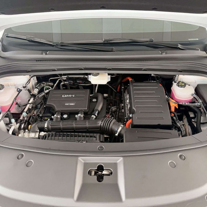 Song L DM-i 2024 model 112km surpassing model Song L DM-i 2024 model 112km surpassing model