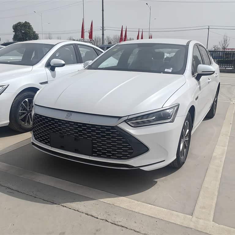 Qin PLUS 2024 Honor Edition DM-i 55KM Leading Edition Qin PLUS 2024 Honor Edition DM-i 55KM Leading Edition
