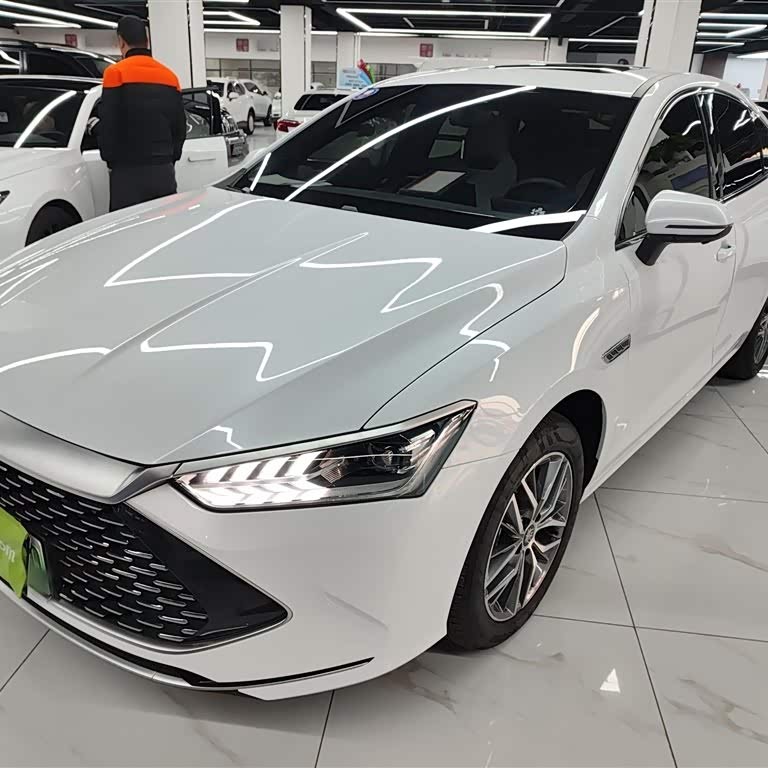 Qin PLUS 2024 Honor Edition DM-i 120KM Beyond Edition