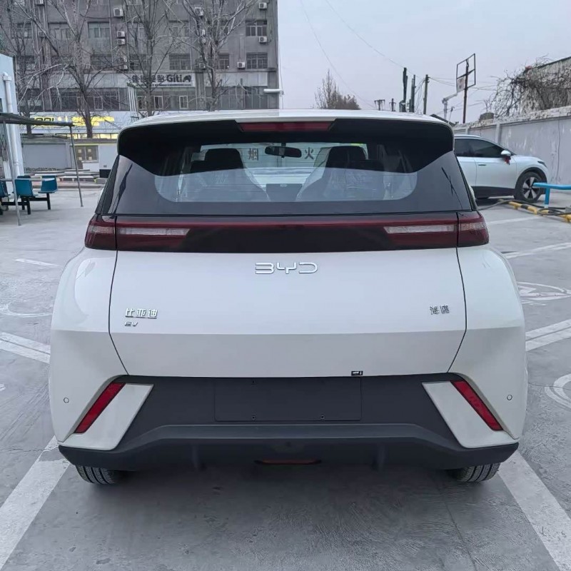 Seagull 2025 305km Vitality Edition Seagull 2025 305km Vitality Edition