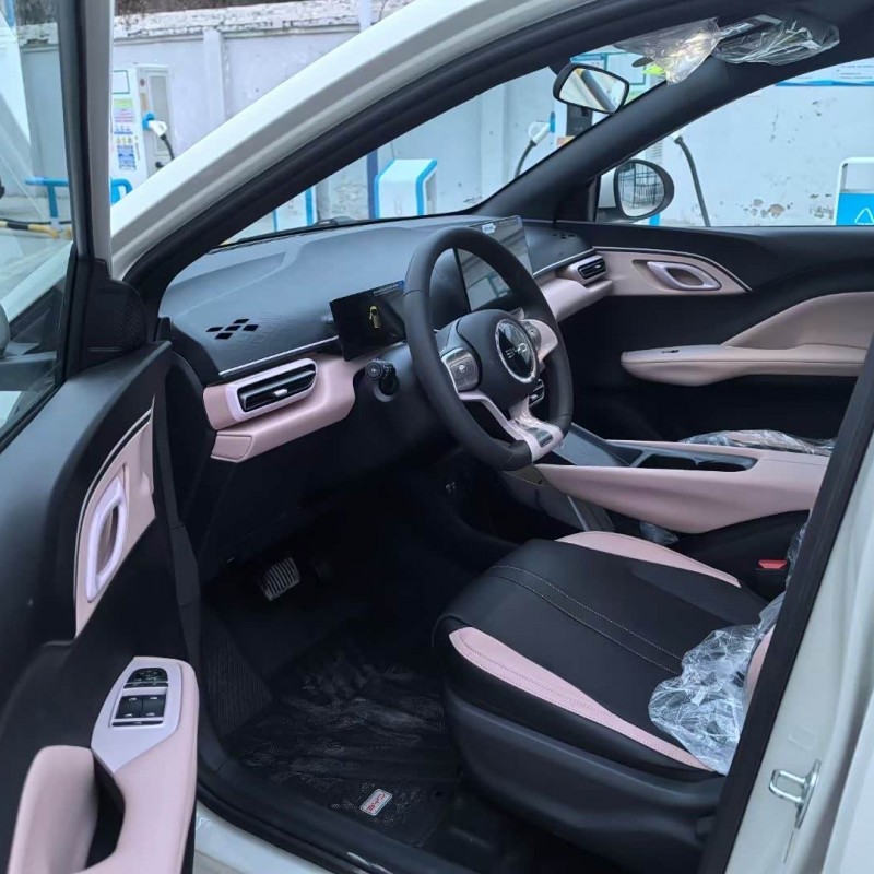 Seagull 2025 305km Vitality Edition Seagull 2025 305km Vitality Edition