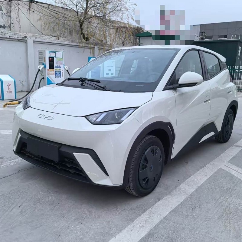 Seagull 2025 305km Vitality Edition