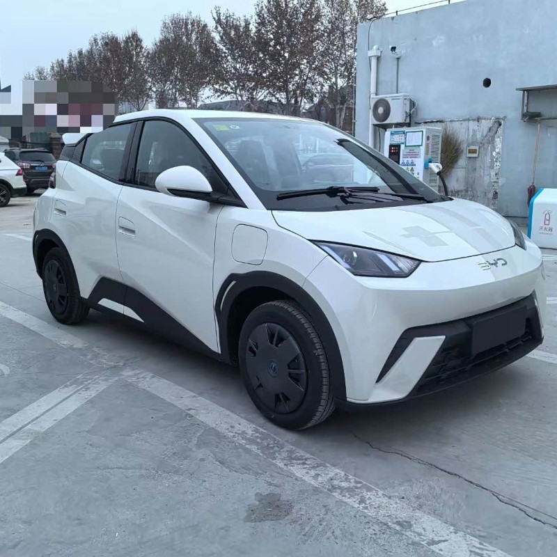 Seagull 2025 305km Vitality Edition Seagull 2025 305km Vitality Edition