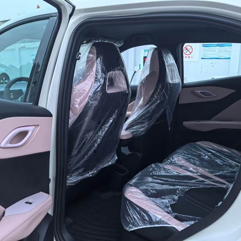 Seagull 2025 305km Vitality Edition Seagull 2025 305km Vitality Edition