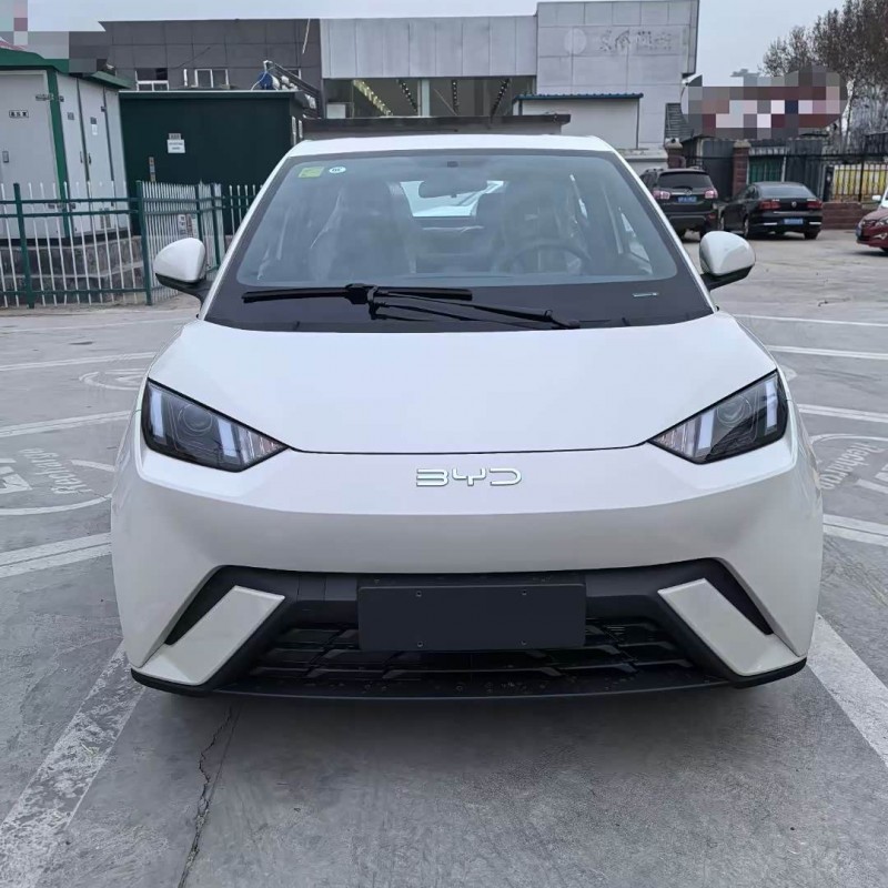 Seagull 2025 305km Vitality Edition Seagull 2025 305km Vitality Edition