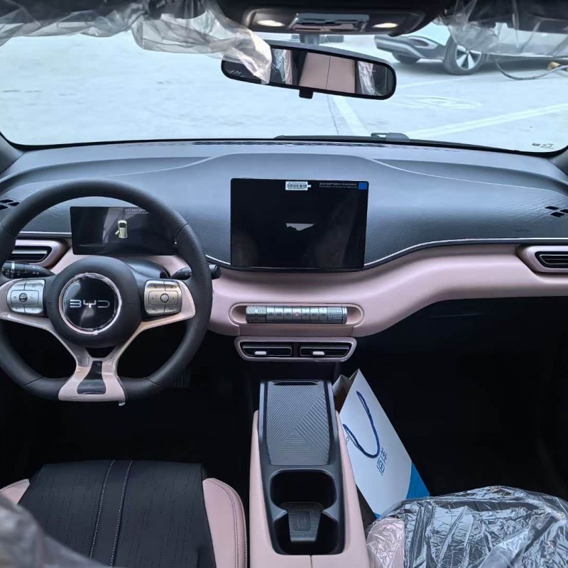 Seagull 2025 305km Vitality Edition Seagull 2025 305km Vitality Edition