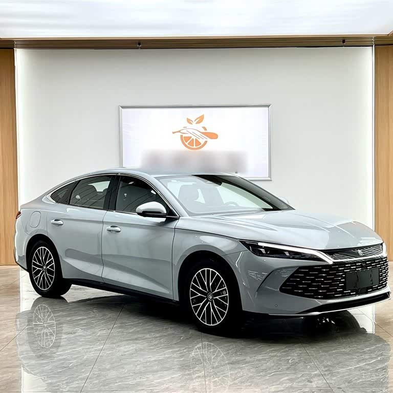 Qin L 2024 DM-i 120KM Excellence Edition Qin L 2024 DM-i 120KM Excellence Edition