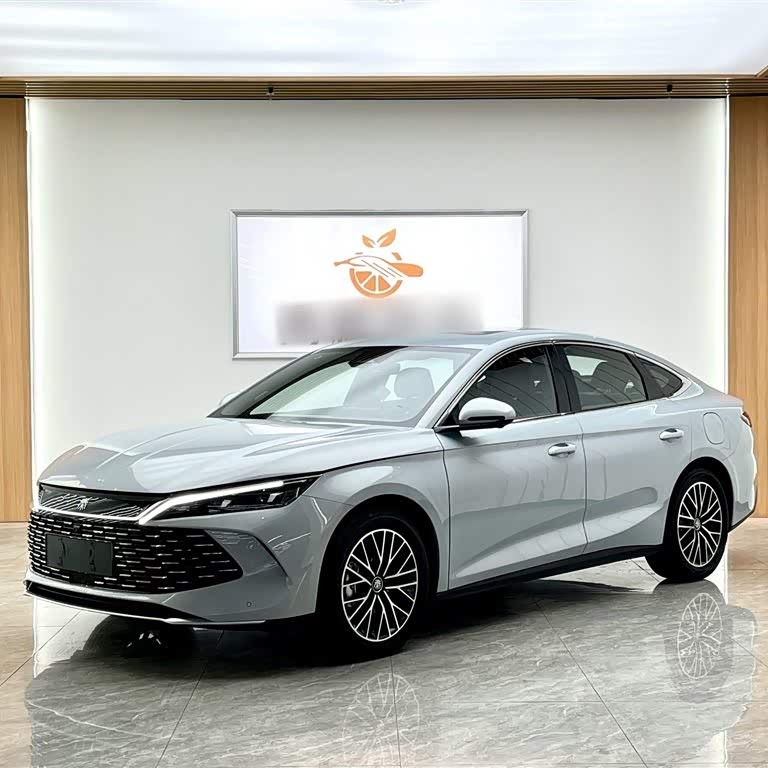 Qin L 2024 DM-i 120KM Excellence Edition Qin L 2024 DM-i 120KM Excellence Edition