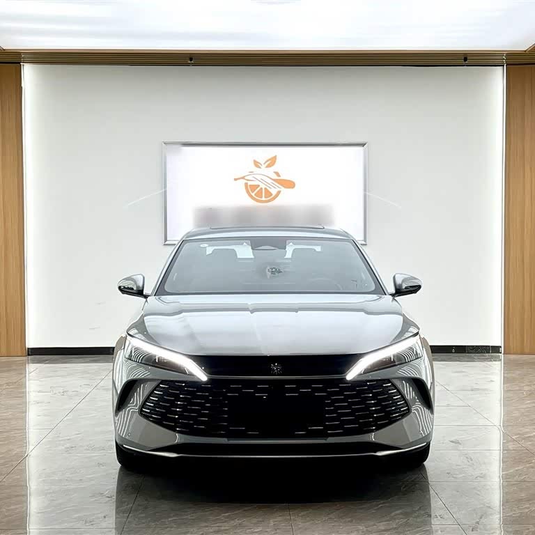 Qin L 2024 DM-i 120KM Excellence Edition Qin L 2024 DM-i 120KM Excellence Edition