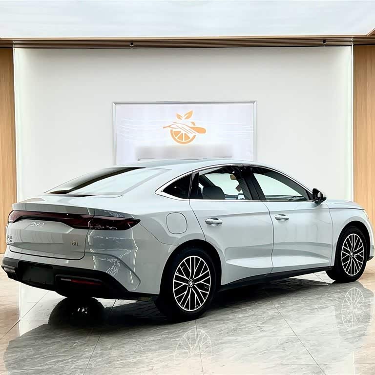 Qin L 2024 DM-i 120KM Excellence Edition Qin L 2024 DM-i 120KM Excellence Edition