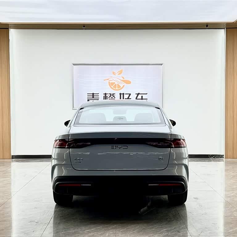 Qin L 2024 DM-i 120KM Excellence Edition Qin L 2024 DM-i 120KM Excellence Edition