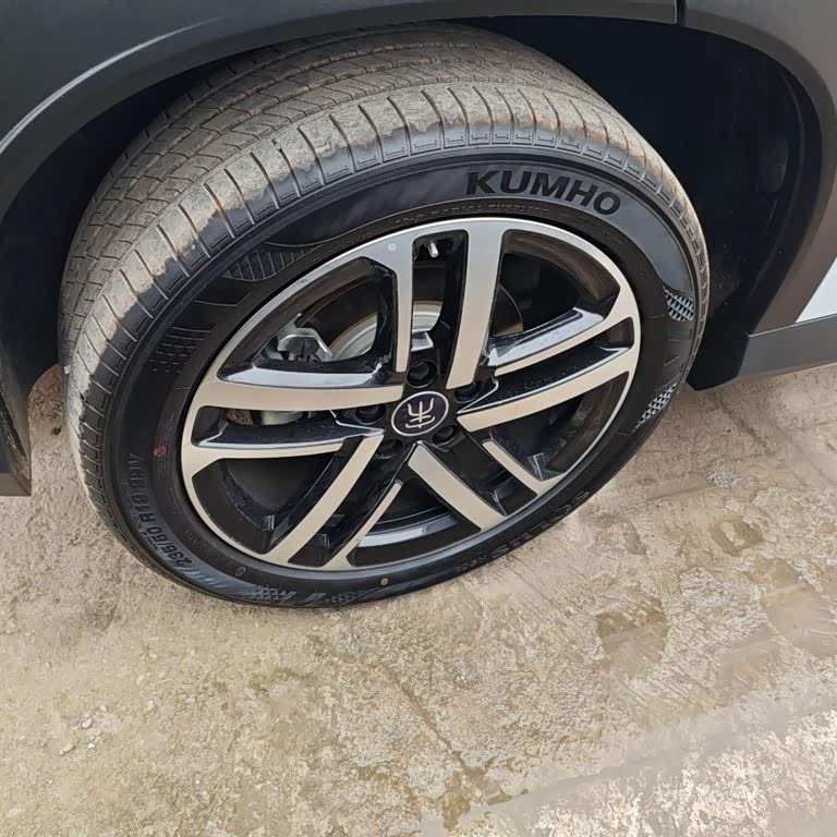 Song L DM-i 2024 model 112km surpassing model Song L DM-i 2024 model 112km surpassing model