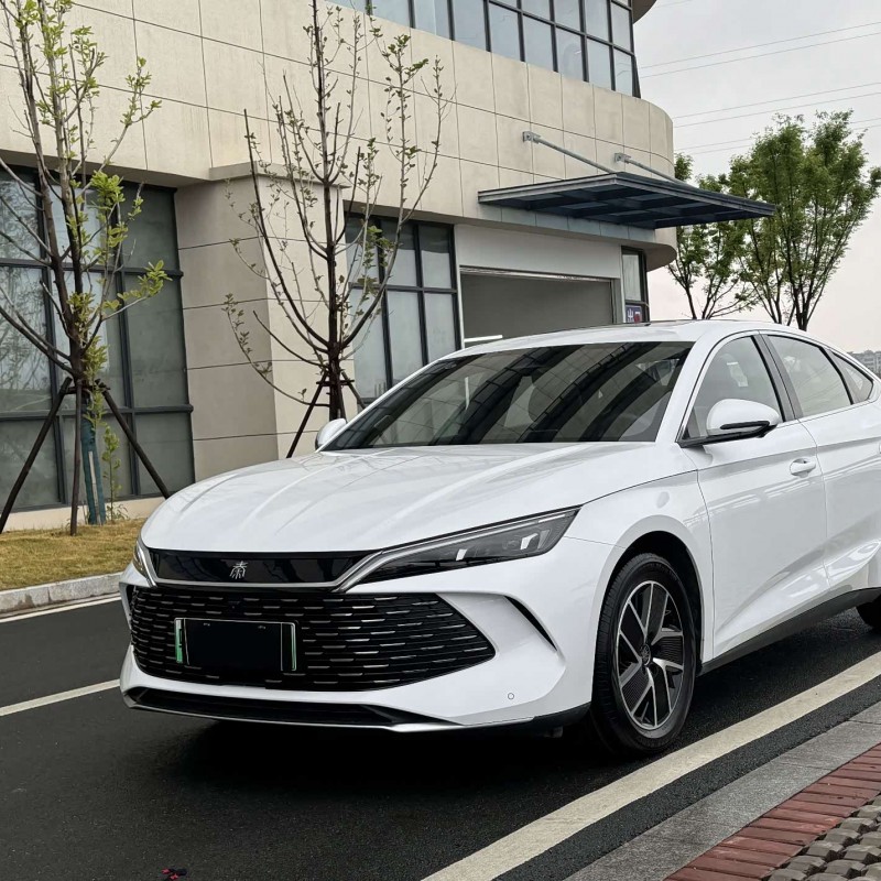 Qin L 2024 DM-i 120KM Beyond Edition