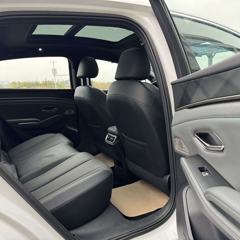 Qin L 2024 DM-i 120KM Beyond Edition Qin L 2024 DM-i 120KM Beyond Edition