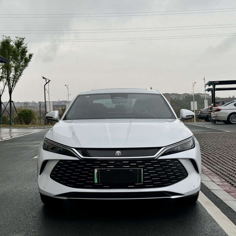 Qin L 2024 DM-i 120KM Beyond Edition Qin L 2024 DM-i 120KM Beyond Edition