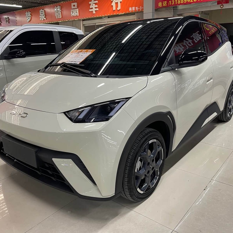 Seagull 2025 305km Freedom Edition