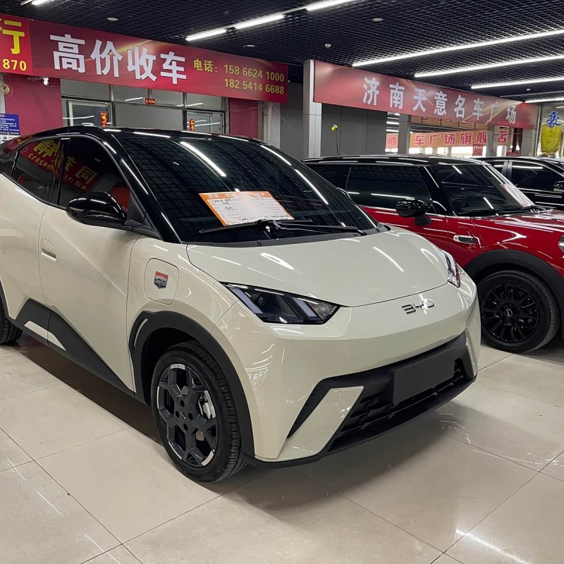 Seagull 2025 305km Freedom Edition Seagull 2025 305km Freedom Edition