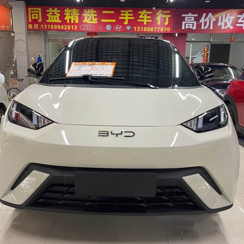 Seagull 2025 305km Freedom Edition Seagull 2025 305km Freedom Edition