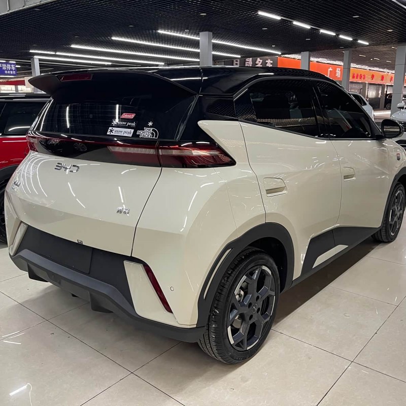 Seagull 2025 305km Freedom Edition Seagull 2025 305km Freedom Edition