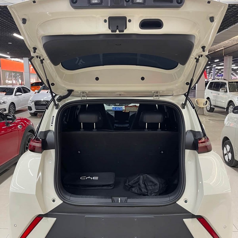 Seagull 2025 305km Freedom Edition Seagull 2025 305km Freedom Edition