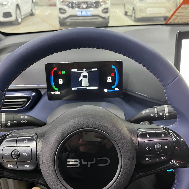 Seagull 2025 305km Freedom Edition Seagull 2025 305km Freedom Edition