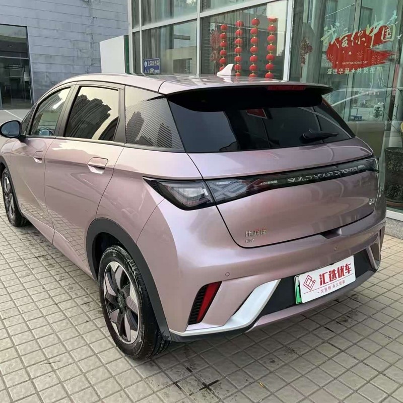 Dolphin 2024 Glory Edition 420km Fashion Edition Dolphin 2024 Glory Edition 420km Fashion Edition