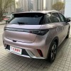 Dolphin 2024 Glory Edition 420km Fashion Edition Dolphin 2024 Glory Edition 420km Fashion Edition