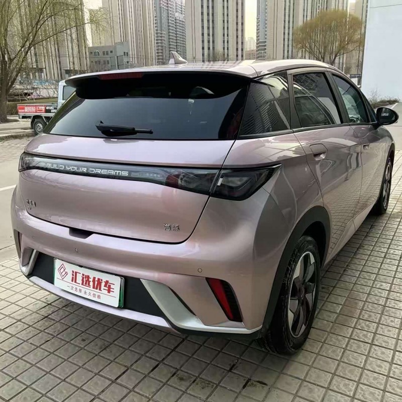 Dolphin 2024 Glory Edition 420km Fashion Edition Dolphin 2024 Glory Edition 420km Fashion Edition