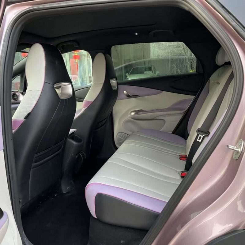Dolphin 2024 Glory Edition 420km Fashion Edition Dolphin 2024 Glory Edition 420km Fashion Edition