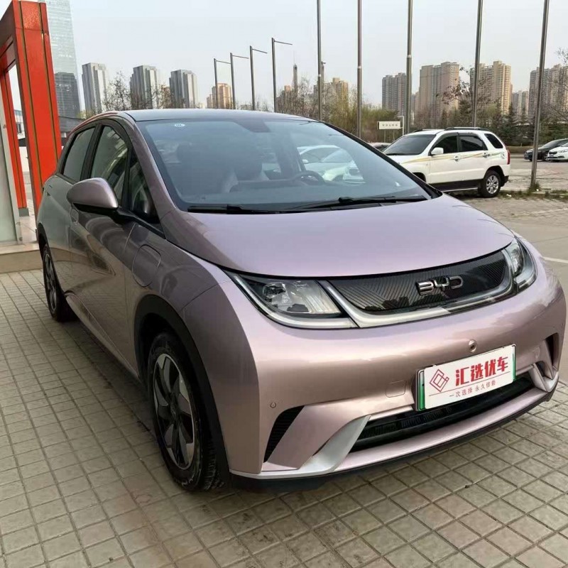 Dolphin 2024 Glory Edition 420km Fashion Edition Dolphin 2024 Glory Edition 420km Fashion Edition