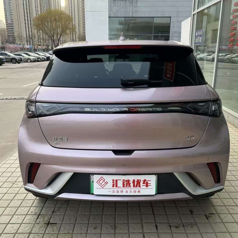 Dolphin 2024 Glory Edition 420km Fashion Edition Dolphin 2024 Glory Edition 420km Fashion Edition