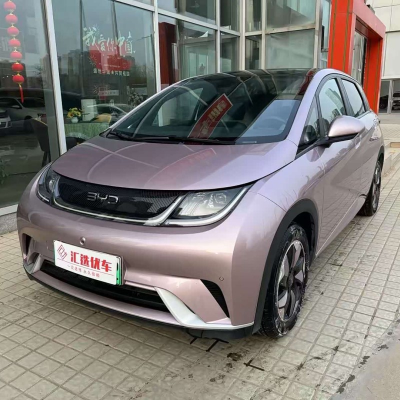 Dolphin 2024 Glory Edition 420km Fashion Edition Dolphin 2024 Glory Edition 420km Fashion Edition