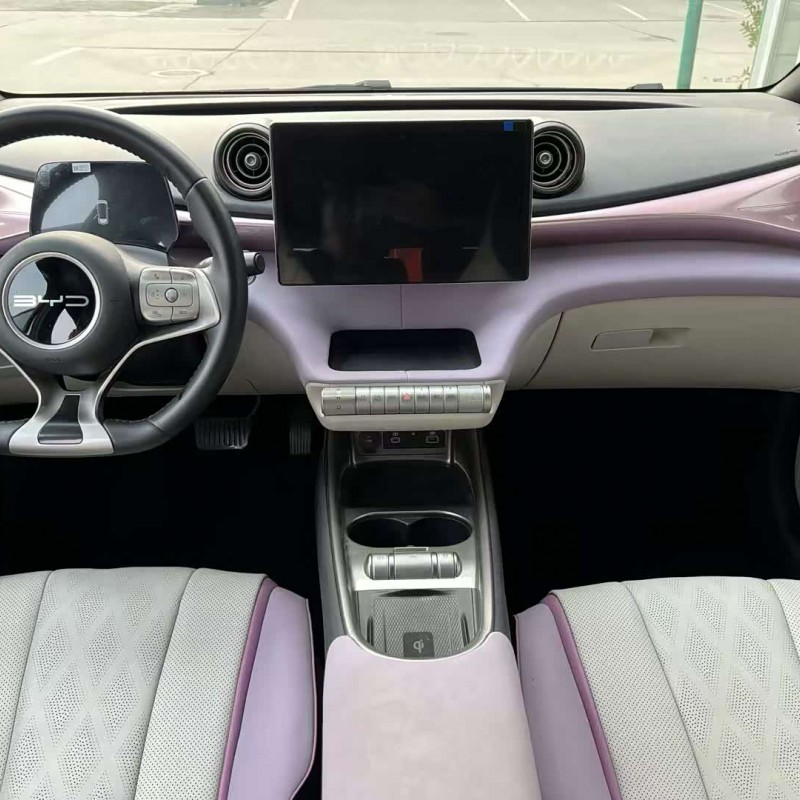 Dolphin 2024 Glory Edition 420km Fashion Edition Dolphin 2024 Glory Edition 420km Fashion Edition