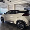 Seagull 2025 305km Freedom Edition