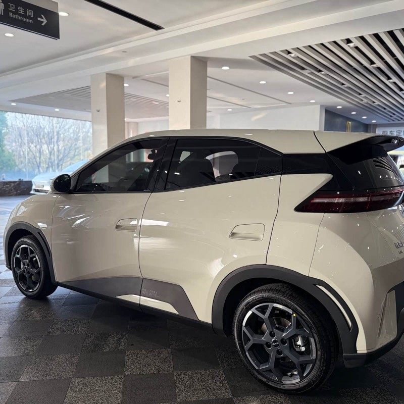 Seagull 2025 305km Freedom Edition Seagull 2025 305km Freedom Edition