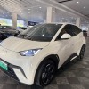 Seagull 2025 305km Freedom Edition
